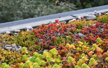 the cost of Woodhill green roof installation