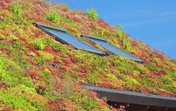 Woodhill living roof systems